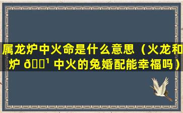 属龙炉中火命是什么意思（火龙和炉 🌹 中火的兔婚配能幸福吗）